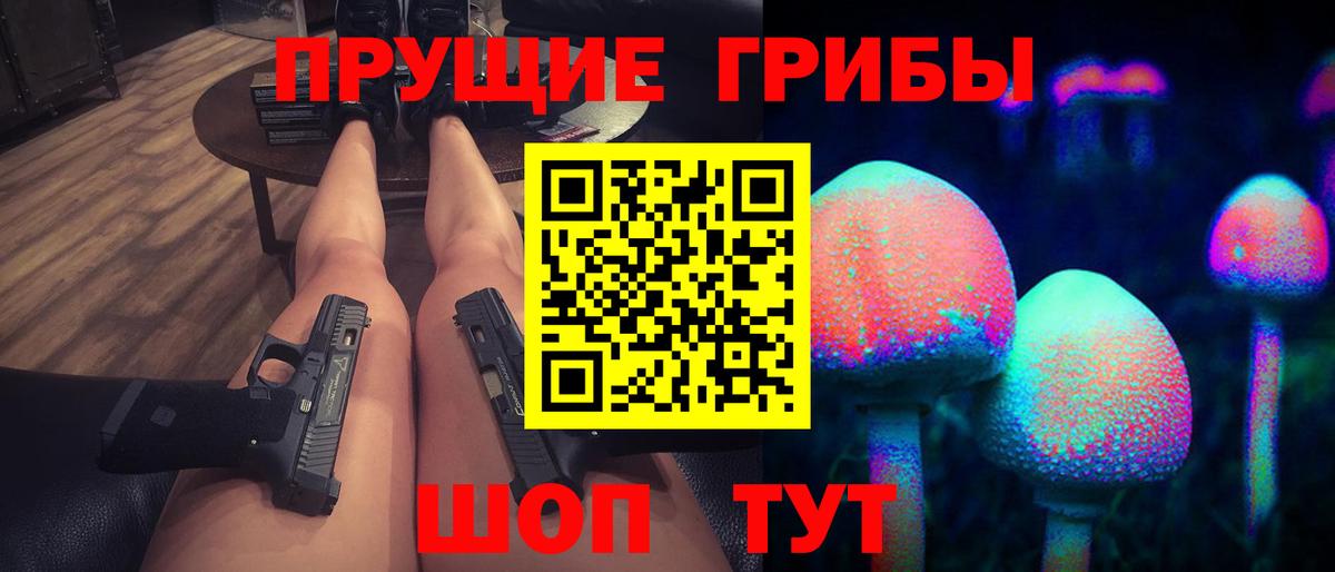 Псилоцибиновые грибы GOLDEN TEACHER Гатчина