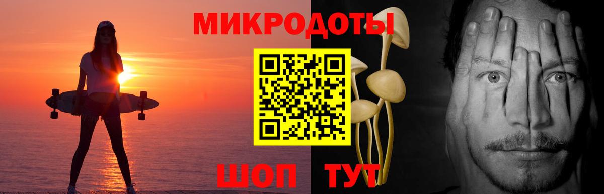 закладка  Вход с VPN  Гатчина  Галлюциногенные грибы GOLDEN TEACHER 